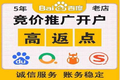 竞价推广实战：案例分析行业领军企业的成功之道